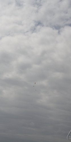 2013 Svojek Mirek Topinka